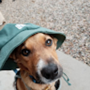 Meet your Posher, Carl